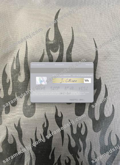 Switzerland Julius Baer Group AG visa debit card photolook back